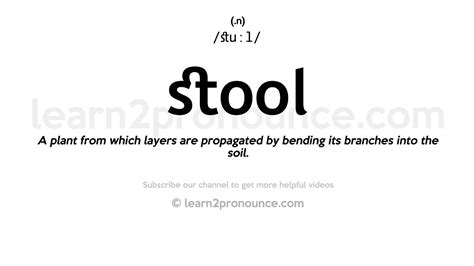 feces noun .